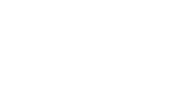 Gallardo
